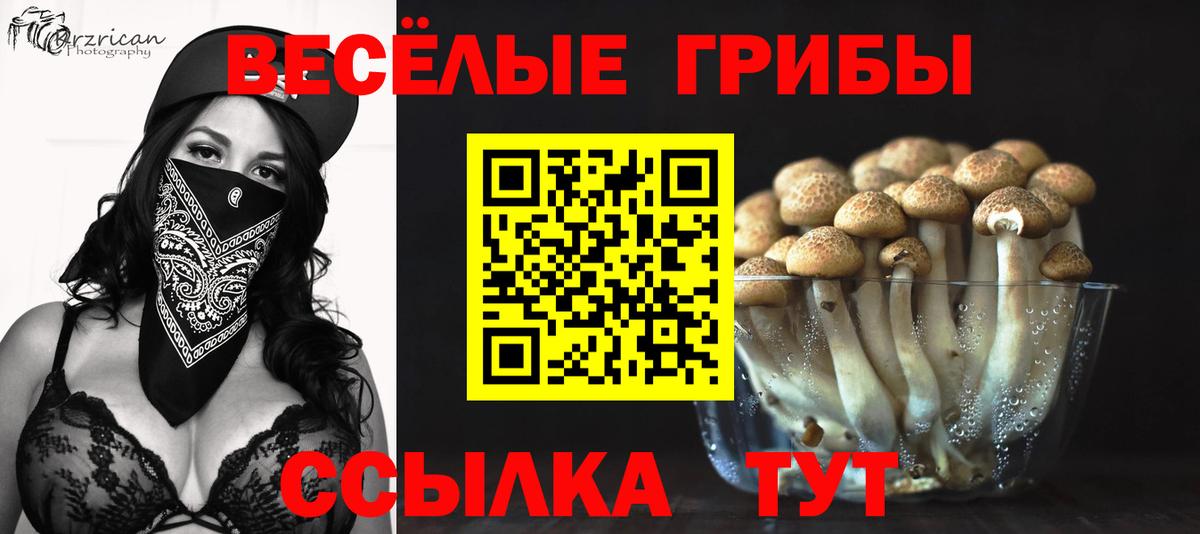 Галлюциногенные грибы GOLDEN TEACHER Киреевск