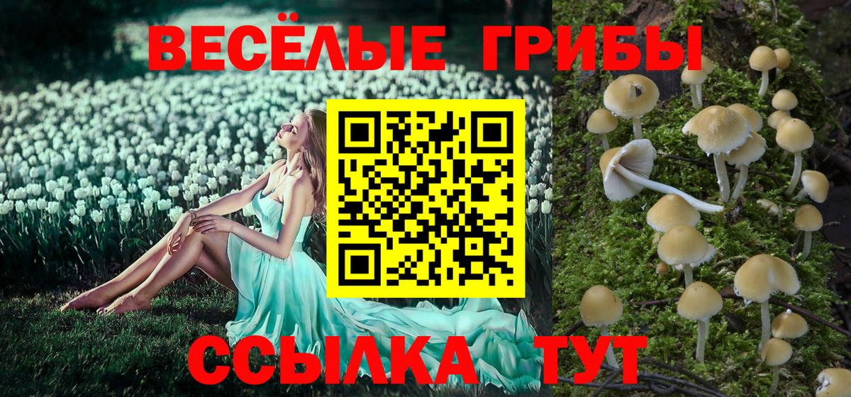 Киреевск  Галлюциногенные грибы Psilocybine cubensis  Псилоцибиновые грибы ЛСД  Вход с VPN 